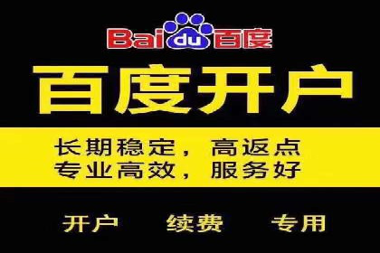 SEM外包服务优势案例分析